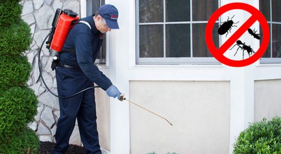 Feke Akrep İlaçlama böcek ilaçlama ve haşere kontrolü — ilaclama-tr.com
